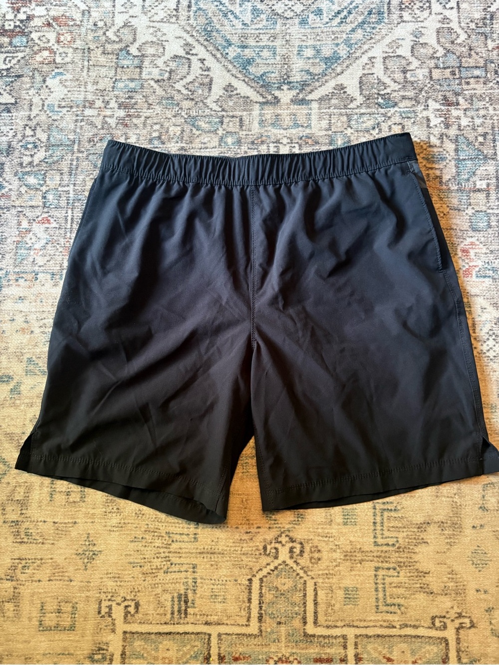Speedo swim trunks, Men’s Large